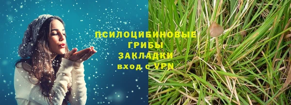 сатива Карталы