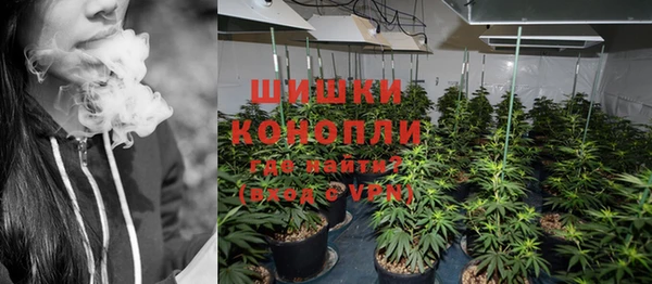 сатива Карталы