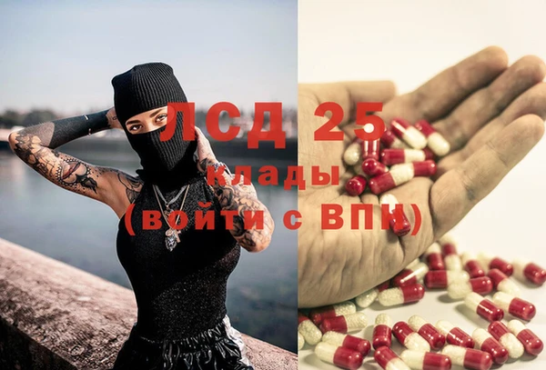 сатива Карталы