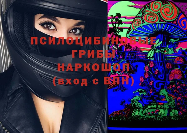 сатива Карталы